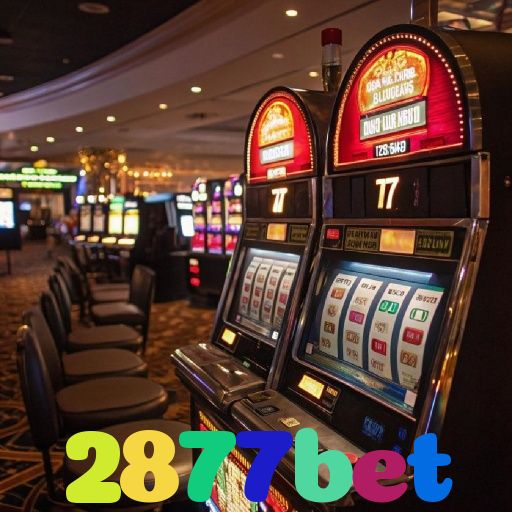 2877bet