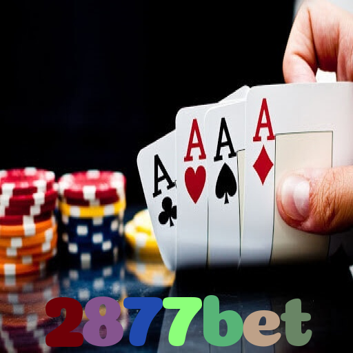 2877bet